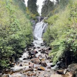 Explore Steavenson Falls
