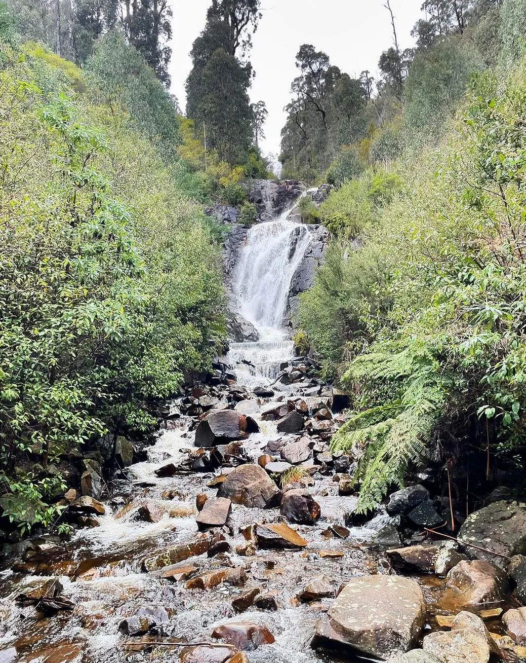 Explore Steavenson Falls