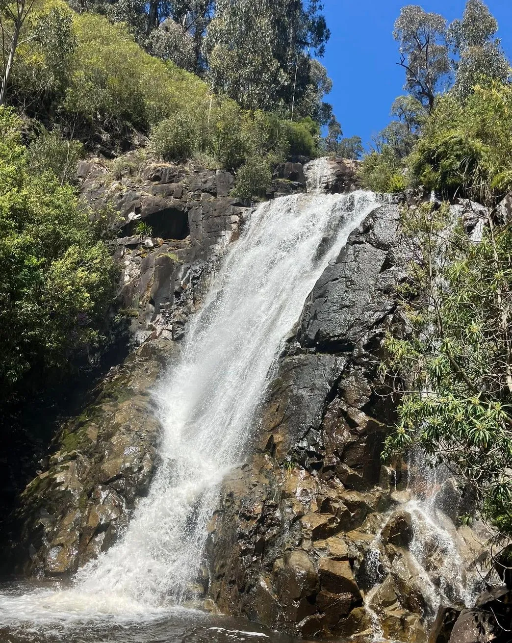 Steavenson Falls