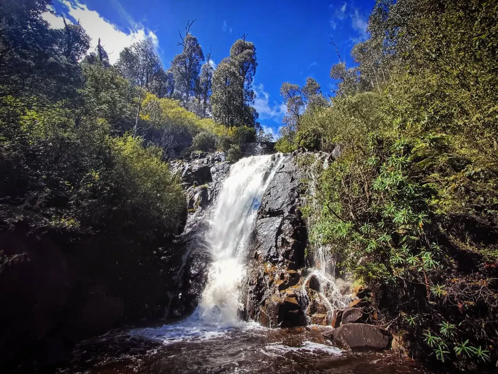 The Story, Steavenson Falls