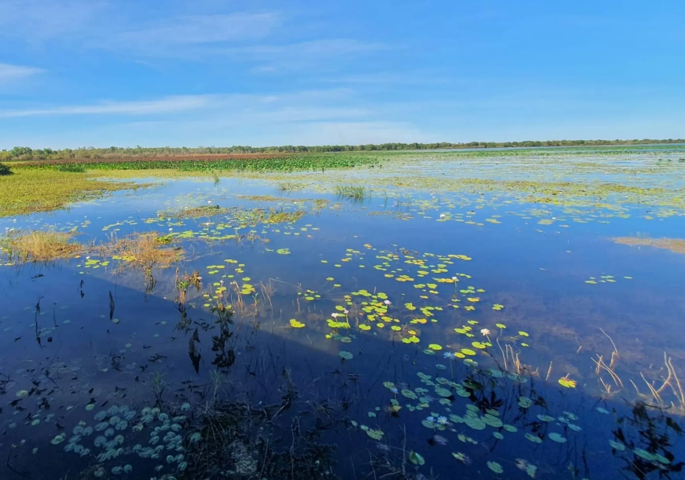 Mamukala Wetlands, Kakadu