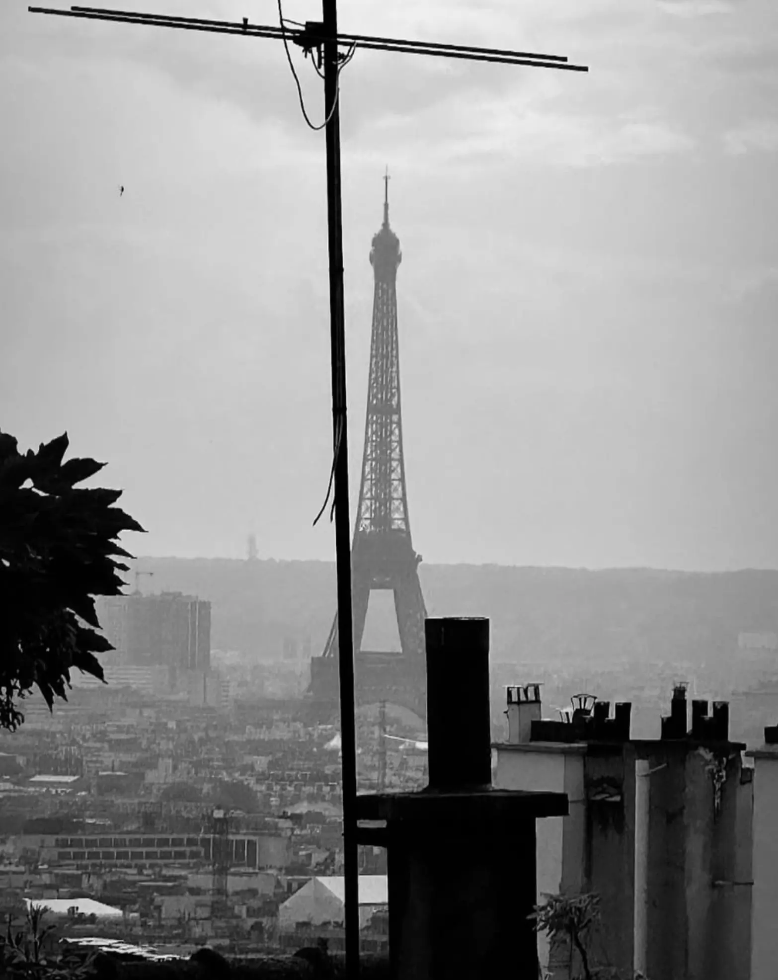 Uluru vs Eiffel Tower