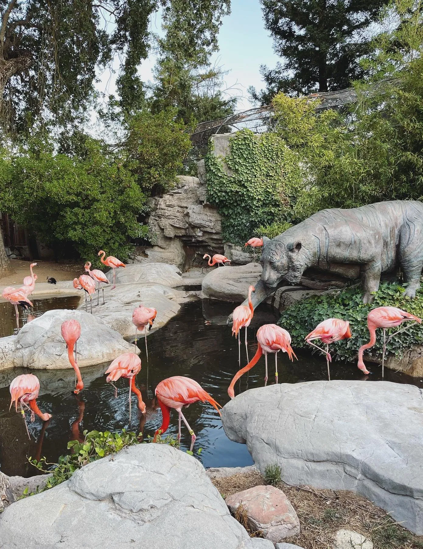 Zoos Victoria accreditation