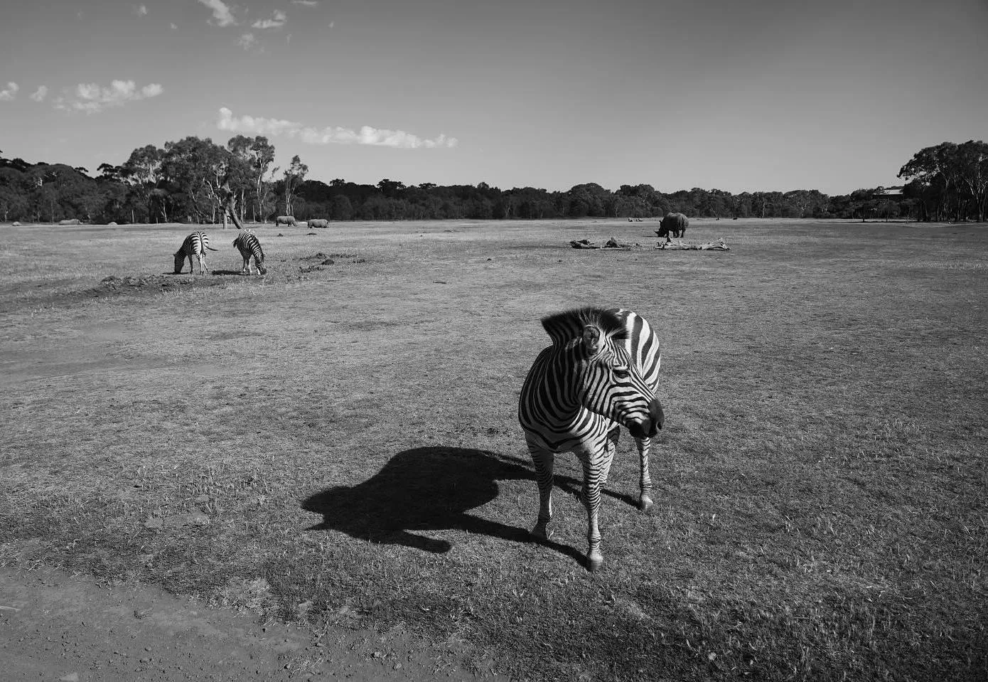 best zoos in Australia for conservation