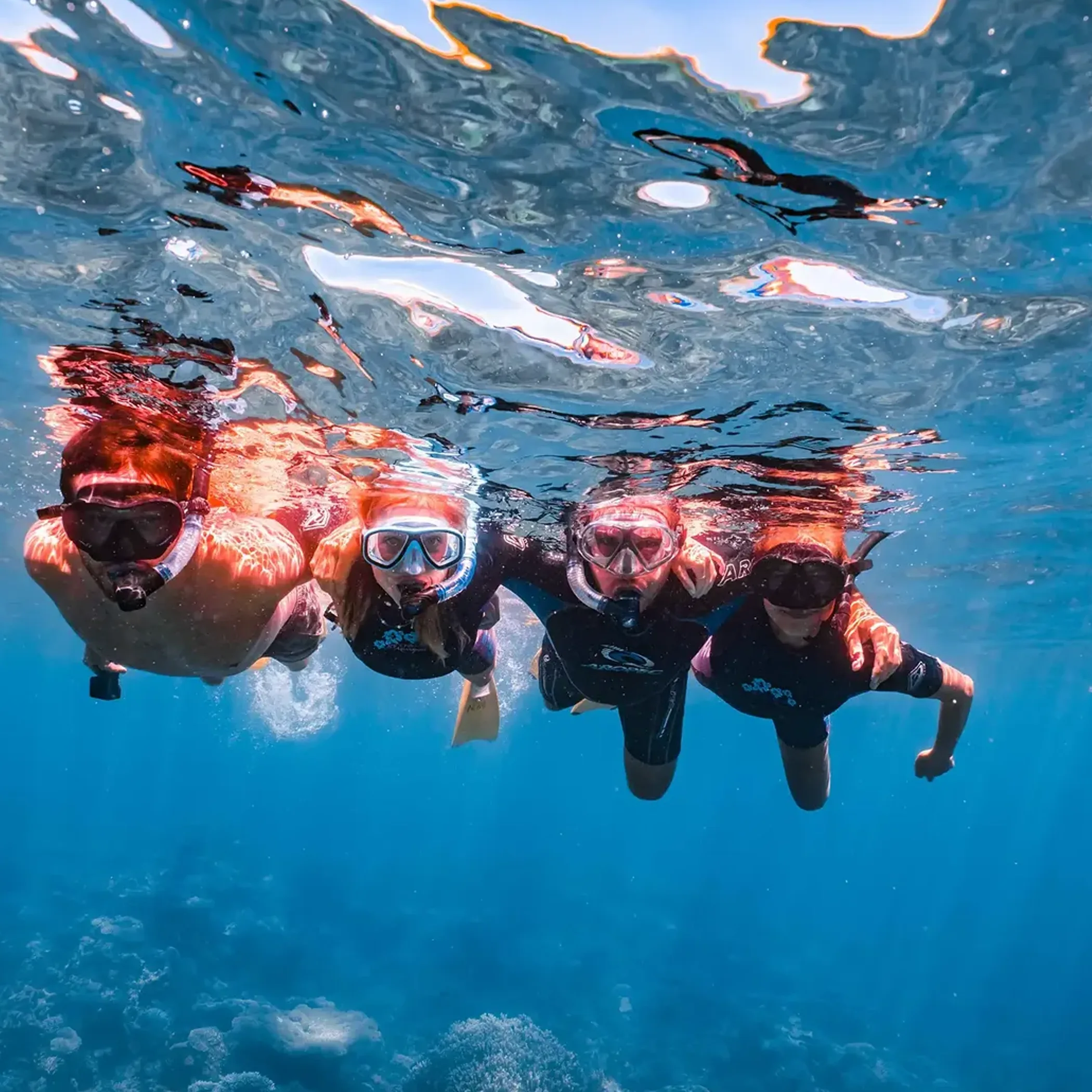 snorkeler exploring clear reef waters